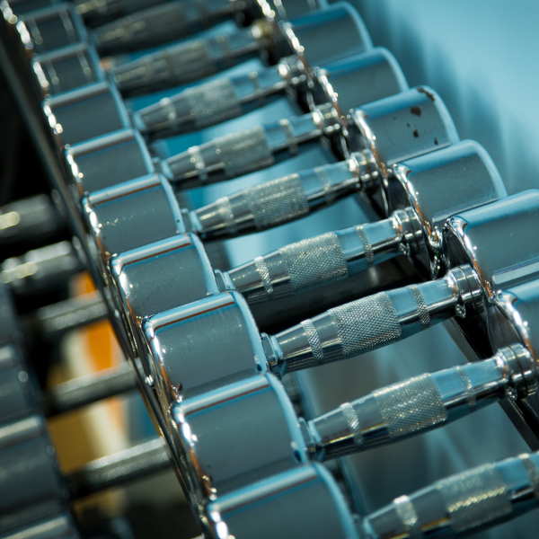 A rack of dumbbells